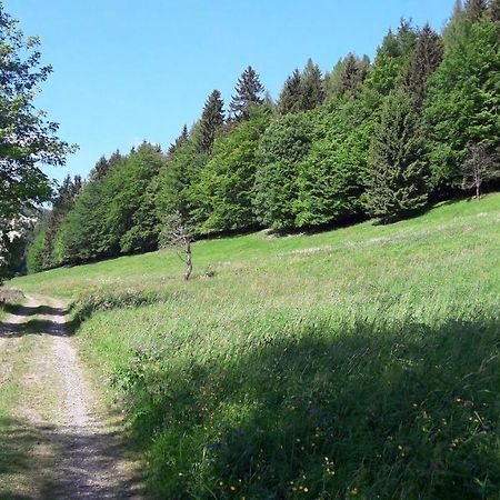 Ferienhaus Moosbachtal Thueringer Wald Bei Oberhof Rotterode エクステリア 写真
