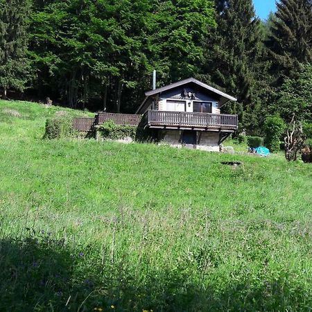 Ferienhaus Moosbachtal Thueringer Wald Bei Oberhof Rotterode エクステリア 写真