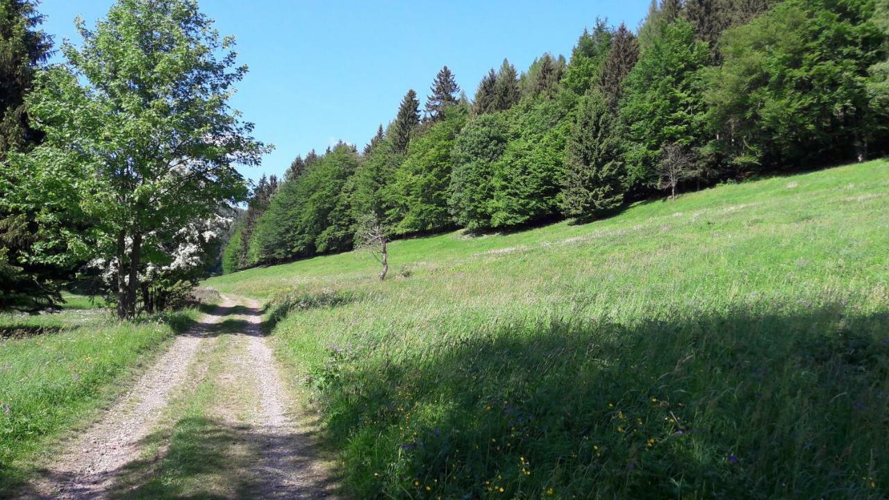 Ferienhaus Moosbachtal Thueringer Wald Bei Oberhof Rotterode エクステリア 写真