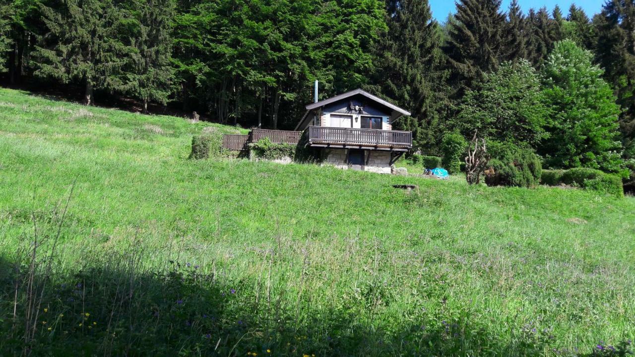 Ferienhaus Moosbachtal Thueringer Wald Bei Oberhof Rotterode エクステリア 写真